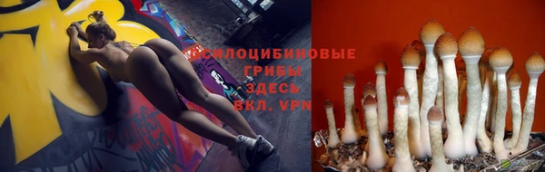 амф Кинешма