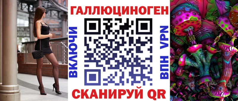 Купить где  Сенгилей  Псилоцибиновые грибы Psilocybe 